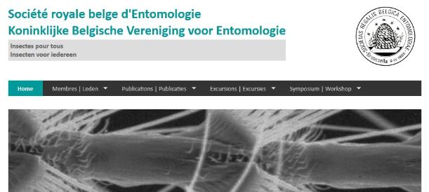 thumbnail - Koninklijke Belgische Vereniging voor Entomologie
